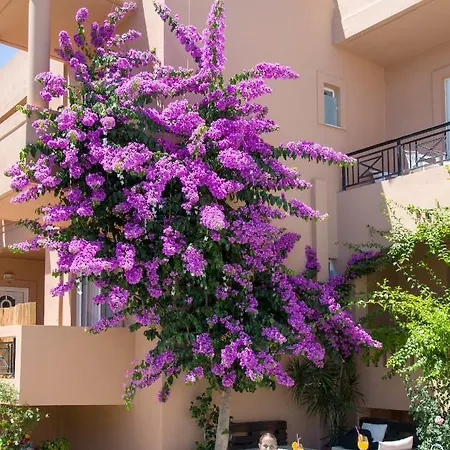 Solon * Maleme (Crete)