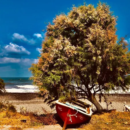 Solon Maleme (Crete)